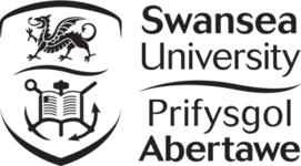 Swansea-University.png